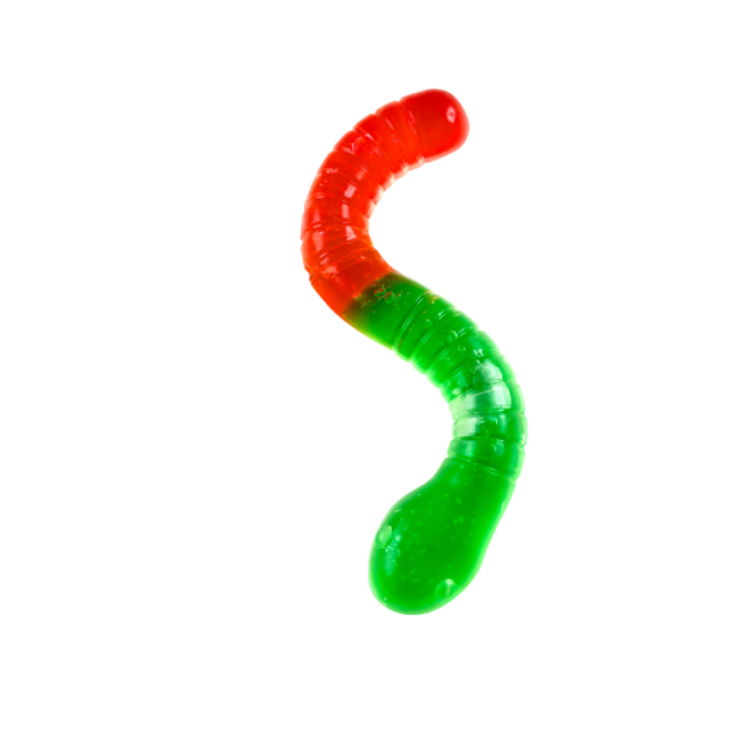 Incredible Group Gummy Wormz Squishy Toy